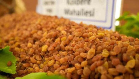 Manisa neden ‘üzümün başkenti’ olarak anılıyor ve dünya sofralarına nasıl ulaşıyor?